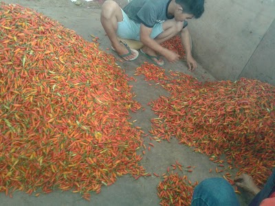 Photos of UD,BERSAMA JAYA