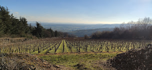 Photo n°6 de ACTIVINUM Hébergements et Agence d'œnotourisme à Givry (Club d'œnologie)