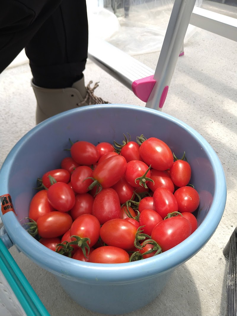 社会福祉法人東香会 就労継続支援A型事業所 いちごファーム