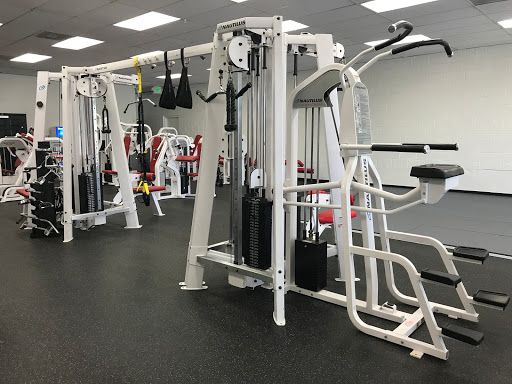 Eclipse Physical Therapy - Visual