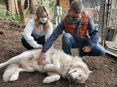 "Predators Of The Heart" Animal Sanctuary