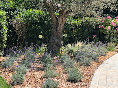 HEAVEN GARDEN Paysagiste - Conception - Création - Entretien de Jardin