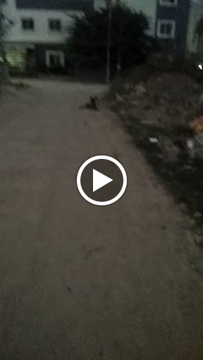 Dog training at your door step @ 20% off post image