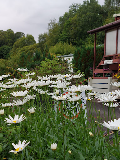 Twenty Shilling Wood Holiday Park