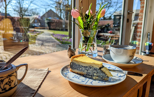 Land-Café Alpakas am Schloss - Thumbnail
