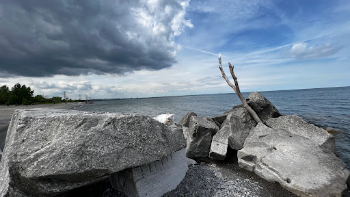 Confederation Beach - Thumbnail