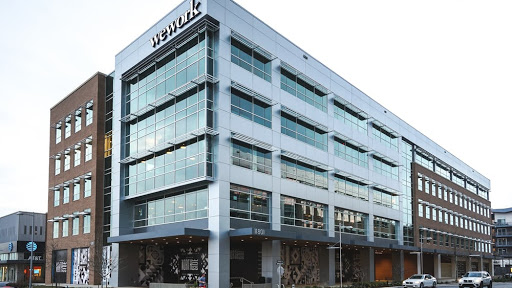 Armadillo Insurance Agency - Thumbnail