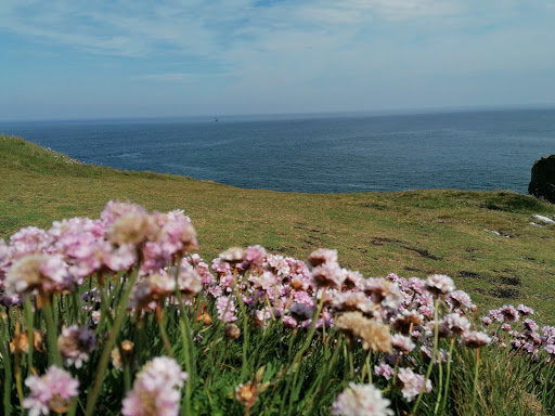 Clodgy Point Gallery - United Kingdom