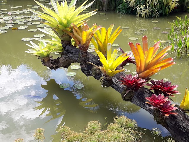 La Rinconada Ecoparque y Restaurante