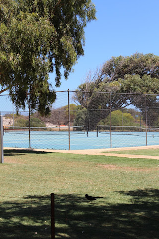 Horrocks Beach Caravan Park by null