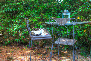 Photo n°42 de La Colombière du château à Saint-Laurent-du-Verdon (Logement indépendant avec services)