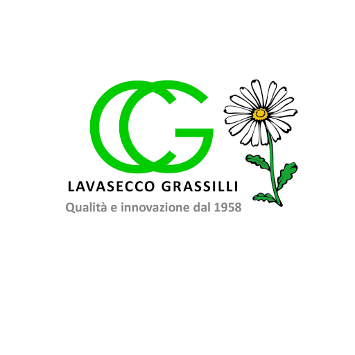 Lavasecco Grassilli - Visual