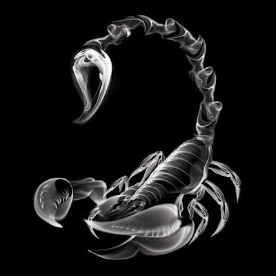Photos of SCORPION Productions