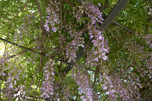 Photo n°37 de Tonus Vitamine à Draguignan (Maison de retraite)