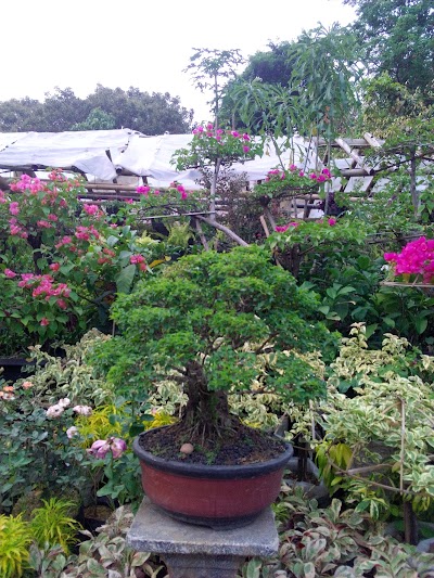 Photos of Taman Agro Inovasi Balitbangtan