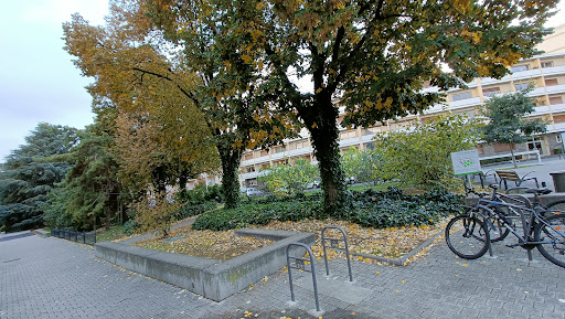 Fruits à partager - Thumbnail