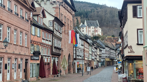 Tourist Information DREI AM MAIN - Stadtführungen in Miltenberg - Thumbnail