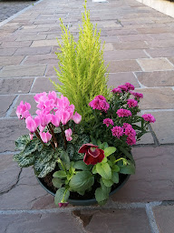 Photo n°24 de Aux fleurs d'Erika à Clermont (Fleuriste)
