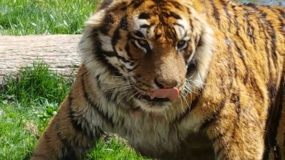 Photos of DeYoung Family Zoo
