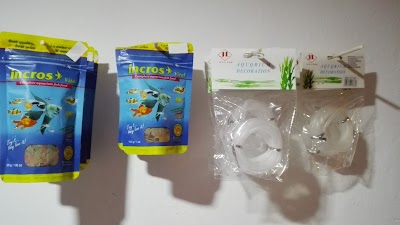 Photos of Pets And Fish