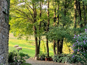 Photo n°8 de DOMAINE LE HAUT VERGER à Gargilesse-Dampierre (Location d'appartement de vacances)