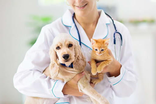 Looking for trusted care for your furry friends? Our Pet Health Care Center provides comprehensiv… post image