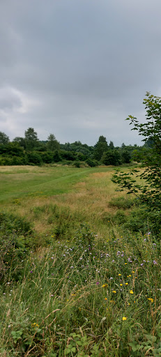 Ditton Quarry - Visual