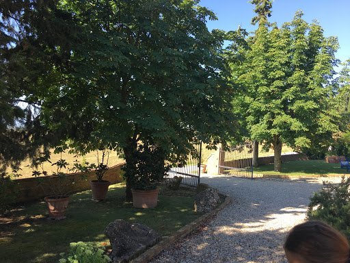 Piegaro - Visual
