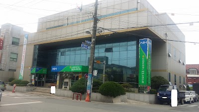 Photos of 농협은행 장흥군지부