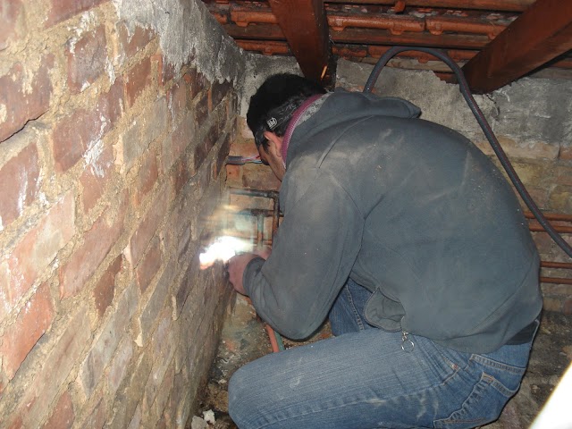 LE CASTOR RENOVATION