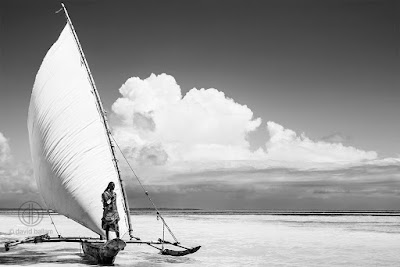 Photos of David Ballam Photography
