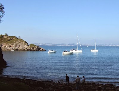 Eric Lloyd & Co