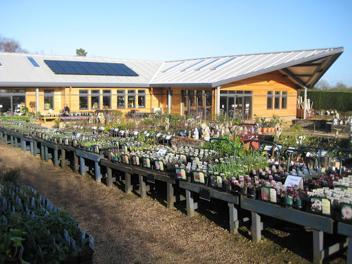site_photo1