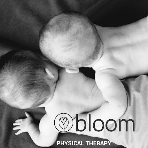 Bloom Physical Therapy - Visual