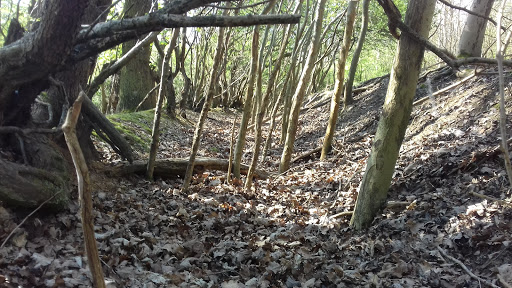 Cobbins Brook FAS - Thumbnail