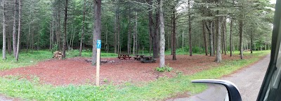 Webb Mountain Campsites 7-10