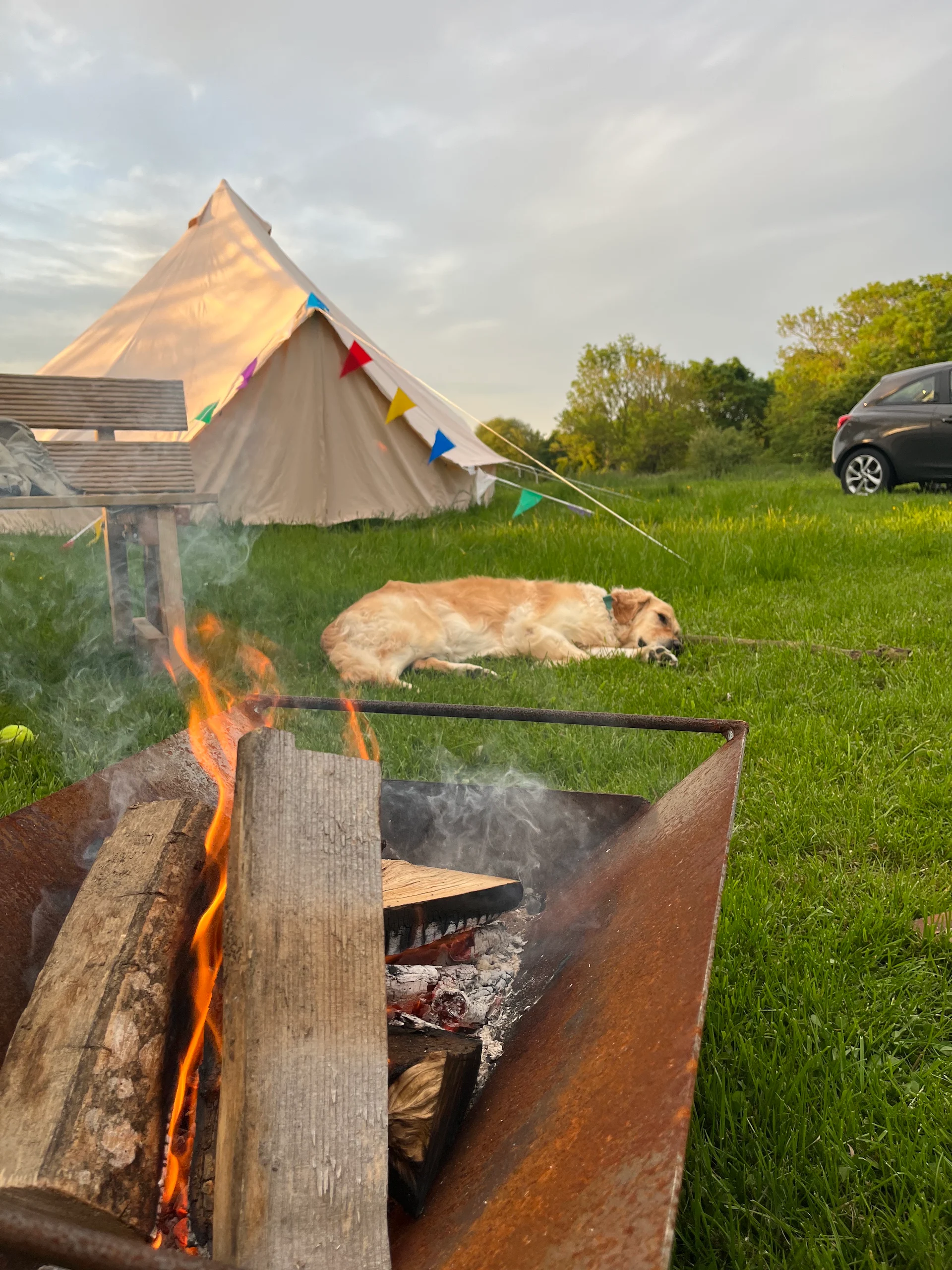 Bramley Park Camping