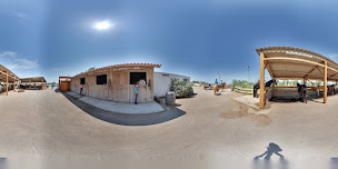 Photo n°30 de Ranch Le Petit Sam à Sérignan plage (Centre équestre)