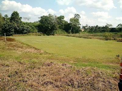 Photos of El Mirador