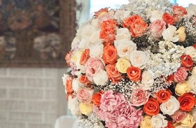 Photos of Dandelion Flower Shop