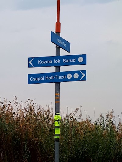 Photos of Szabics Harbor and Holiday Coast