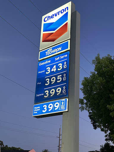 Chevron Tavernier - Visual