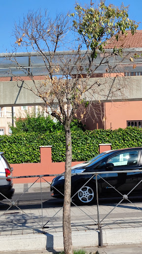 Bulevar Sur - Visual