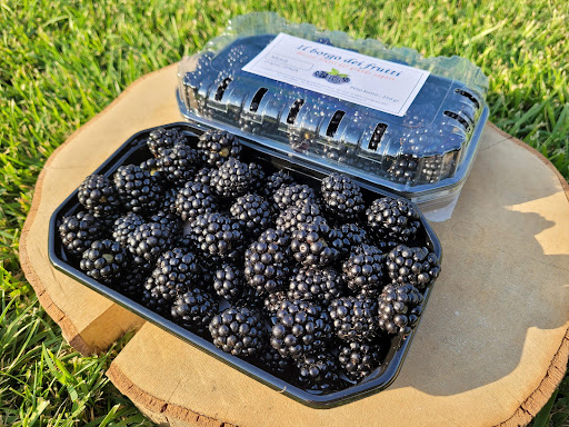 Il borgo dei frutti - Thumbnail
