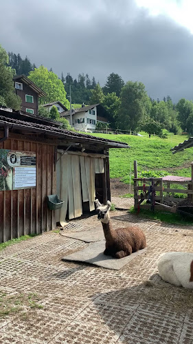 Lama- & Alpakahof Triesenberg - Museum