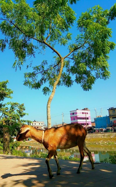 Photos of Lake Park Gopalganj