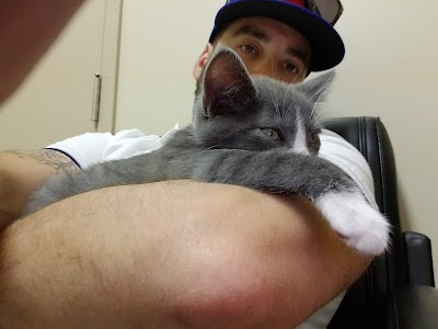veterinary-care