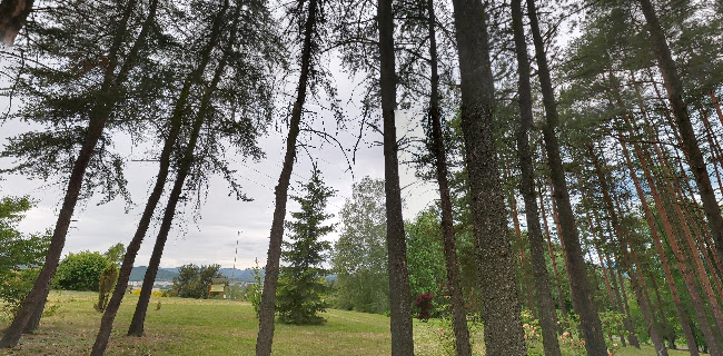 Arborétum Borová hora - Lekár
