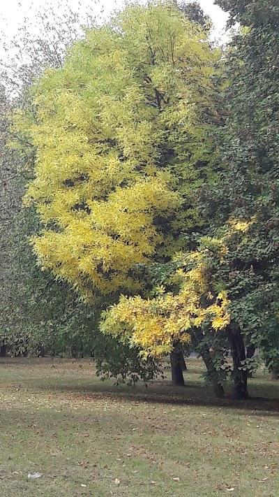 Photos of Atminimo Garden