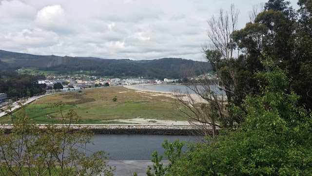 Viveiro